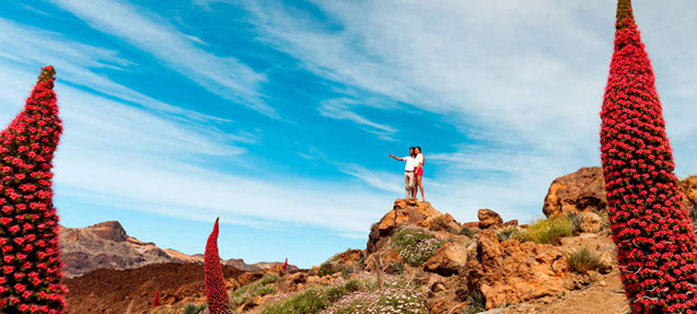 Teide National Park